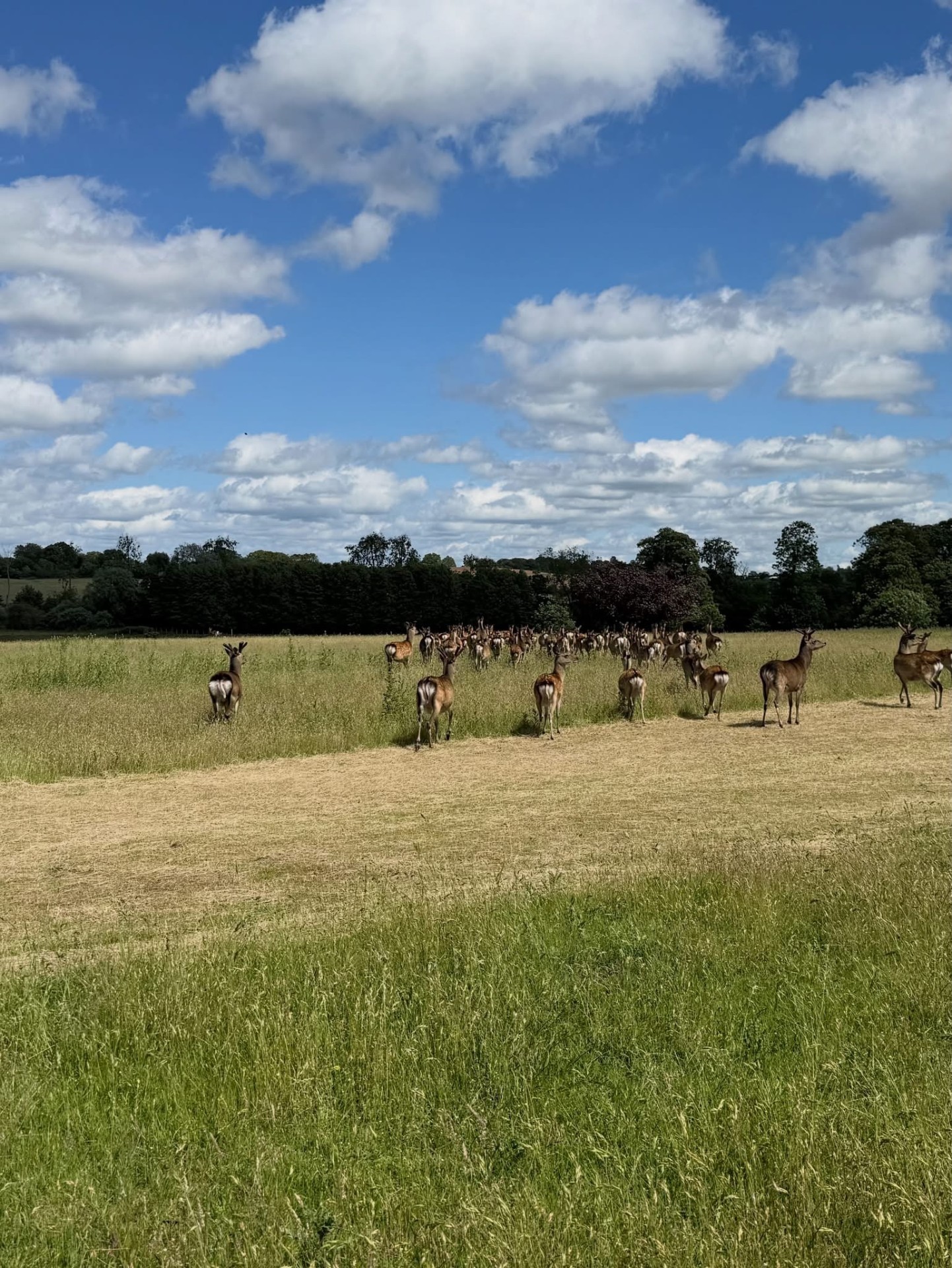 Parkland at The Village Day Centres